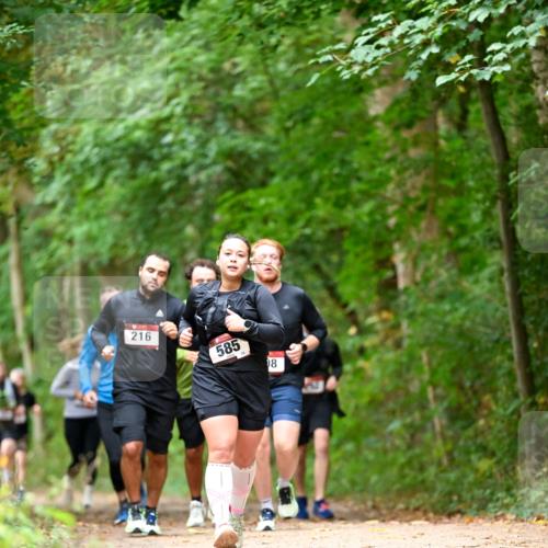 11.10.2026 - Bramfelder Halbmarathon 2026 Dr. Thomas Lammeyer http://msf.ph/oto/10827505 11.10.2026 11:03:06 Laufen 216, 585, 75, 18 meine-sportfotos.de