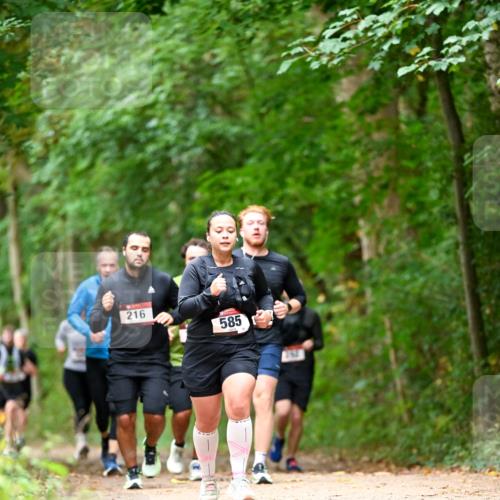 11.10.2026 - Bramfelder Halbmarathon 2026 Dr. Thomas Lammeyer http://msf.ph/oto/10827507 11.10.2026 11:03:06 Laufen 216, 585 meine-sportfotos.de