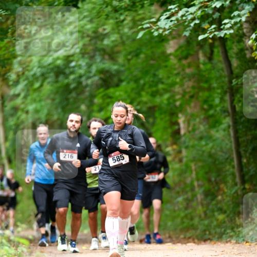 11.10.2026 - Bramfelder Halbmarathon 2026 Dr. Thomas Lammeyer http://msf.ph/oto/10827510 11.10.2026 11:03:06 Laufen 216, 585, 21 meine-sportfotos.de