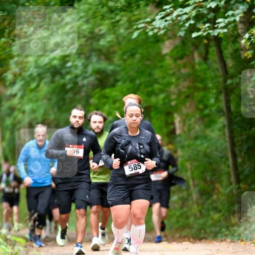 11.10.2026 - Bramfelder Halbmarathon 2026 Dr. Thomas Lammeyer http://msf.ph/oto/10827514 11.10.2026 11:03:07 Laufen 585, 75 meine-sportfotos.de