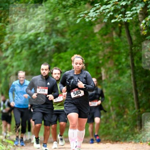 11.10.2026 - Bramfelder Halbmarathon 2026 Dr. Thomas Lammeyer http://msf.ph/oto/10827515 11.10.2026 11:03:07 Laufen 216, 217, 1, 585, 75 meine-sportfotos.de