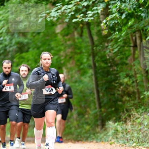 11.10.2026 - Bramfelder Halbmarathon 2026 Dr. Thomas Lammeyer http://msf.ph/oto/10827518 11.10.2026 11:03:07 Laufen 216, 585, 217 meine-sportfotos.de