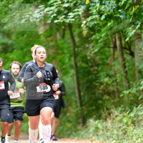 11.10.2026 - Bramfelder Halbmarathon 2026 Dr. Thomas Lammeyer http://msf.ph/oto/10827523 11.10.2026 11:03:08 Laufen 6, 217, 585 meine-sportfotos.de