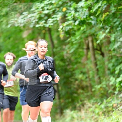 11.10.2026 - Bramfelder Halbmarathon 2026 Dr. Thomas Lammeyer http://msf.ph/oto/10827529 11.10.2026 11:03:09 Laufen 17, 585, 75 meine-sportfotos.de
