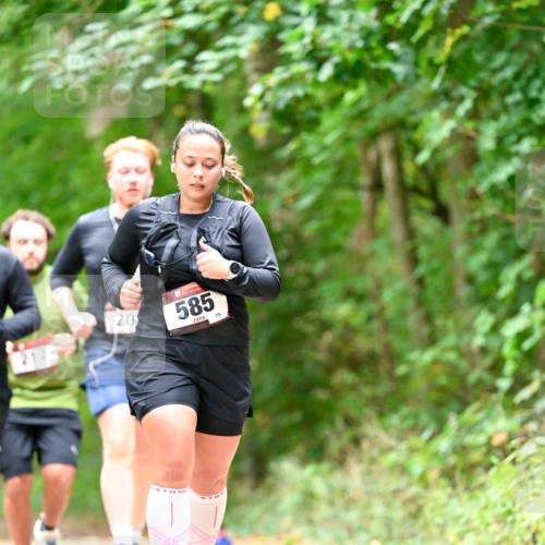 11.10.2026 - Bramfelder Halbmarathon 2026 Dr. Thomas Lammeyer http://msf.ph/oto/10827531 11.10.2026 11:03:09 Laufen 20, 217, 585, 75 meine-sportfotos.de