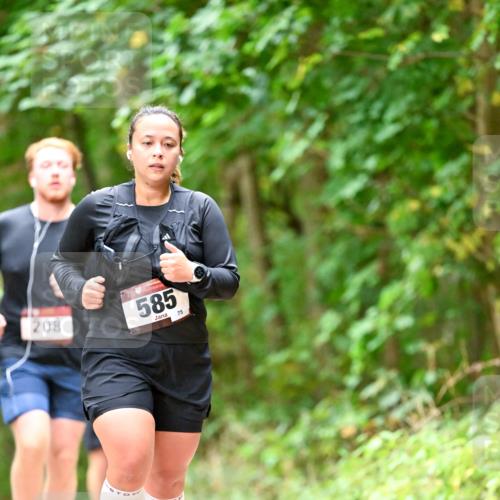 11.10.2026 - Bramfelder Halbmarathon 2026 Dr. Thomas Lammeyer http://msf.ph/oto/10827536 11.10.2026 11:03:10 Laufen 208, 585, 75 meine-sportfotos.de