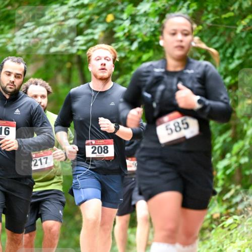 11.10.2026 - Bramfelder Halbmarathon 2026 Dr. Thomas Lammeyer http://msf.ph/oto/10827539 11.10.2026 11:03:11 Laufen 16, 217, 208, 9, 585 meine-sportfotos.de
