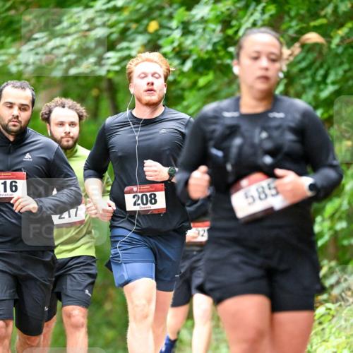 11.10.2026 - Bramfelder Halbmarathon 2026 Dr. Thomas Lammeyer http://msf.ph/oto/10827540 11.10.2026 11:03:11 Laufen 216, 217, 208, 585 meine-sportfotos.de