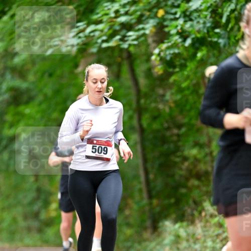 11.10.2026 - Bramfelder Halbmarathon 2026 Dr. Thomas Lammeyer http://msf.ph/oto/10827566 11.10.2026 11:03:17 Laufen 509 meine-sportfotos.de
