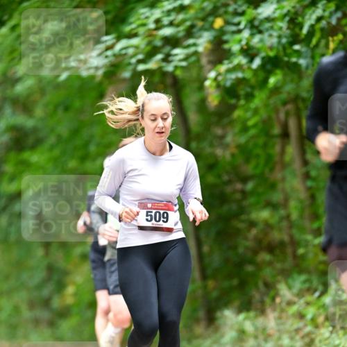 11.10.2026 - Bramfelder Halbmarathon 2026 Dr. Thomas Lammeyer http://msf.ph/oto/10827568 11.10.2026 11:03:17 Laufen 509 meine-sportfotos.de