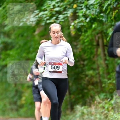 11.10.2026 - Bramfelder Halbmarathon 2026 Dr. Thomas Lammeyer http://msf.ph/oto/10827569 11.10.2026 11:03:17 Laufen 509 meine-sportfotos.de