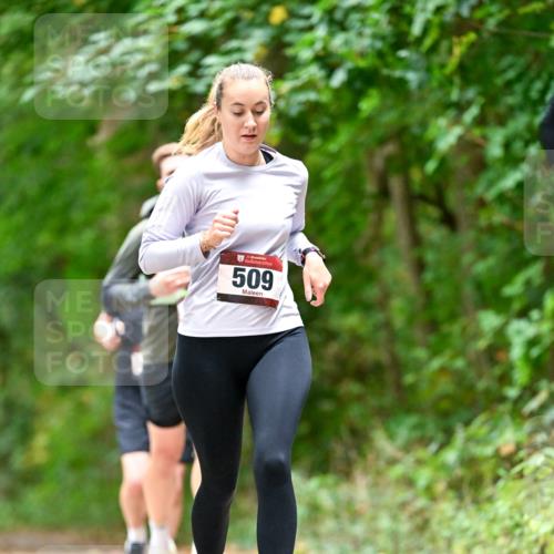 11.10.2026 - Bramfelder Halbmarathon 2026 Dr. Thomas Lammeyer http://msf.ph/oto/10827572 11.10.2026 11:03:17 Laufen 35, 509 meine-sportfotos.de