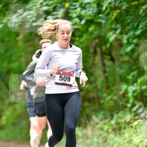 11.10.2026 - Bramfelder Halbmarathon 2026 Dr. Thomas Lammeyer http://msf.ph/oto/10827573 11.10.2026 11:03:18 Laufen 35, 509 meine-sportfotos.de