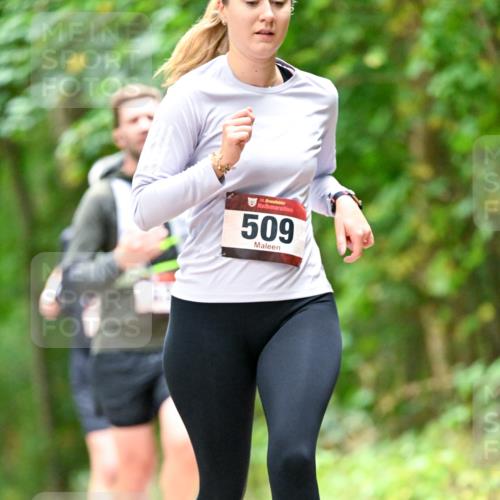 11.10.2026 - Bramfelder Halbmarathon 2026 Dr. Thomas Lammeyer http://msf.ph/oto/10827583 11.10.2026 11:03:19 Laufen 35, 509 meine-sportfotos.de