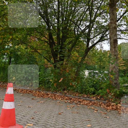 11.10.2026 - Bramfelder Halbmarathon 2026 J. Mangold http://msf.ph/oto/10827659 11.10.2026 10:42:44 Laufen 16, 243, 357 meine-sportfotos.de