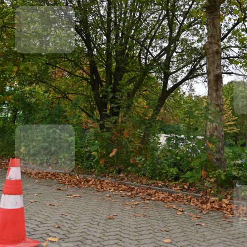 11.10.2026 - Bramfelder Halbmarathon 2026 J. Mangold http://msf.ph/oto/10827662 11.10.2026 10:42:44 Laufen 16, 243, 357 meine-sportfotos.de