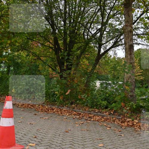 11.10.2026 - Bramfelder Halbmarathon 2026 J. Mangold http://msf.ph/oto/10827664 11.10.2026 10:42:44 Laufen 16, 243, 357 meine-sportfotos.de