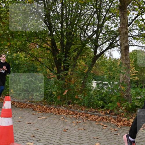11.10.2026 - Bramfelder Halbmarathon 2026 J. Mangold http://msf.ph/oto/10827682 11.10.2026 10:42:46 Laufen 16, 243, 357, 616 meine-sportfotos.de