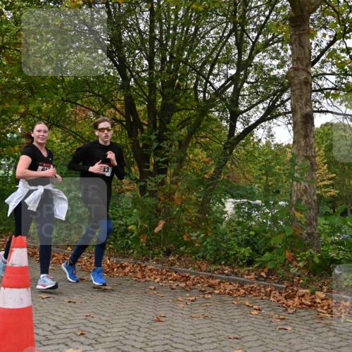 11.10.2026 - Bramfelder Halbmarathon 2026 J. Mangold http://msf.ph/oto/10827691 11.10.2026 10:42:47 Laufen 16, 243, 357, 616 meine-sportfotos.de