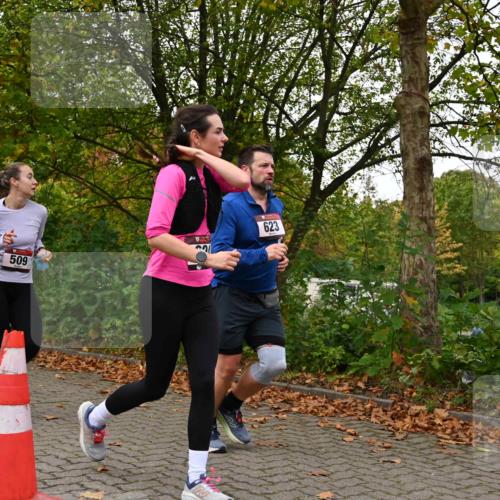 11.10.2026 - Bramfelder Halbmarathon 2026 J. Mangold http://msf.ph/oto/10827712 11.10.2026 10:42:52 Laufen 243, 357, 509, 616, 623, 624 meine-sportfotos.de