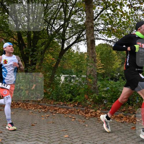 11.10.2026 - Bramfelder Halbmarathon 2026 J. Mangold http://msf.ph/oto/10827746 11.10.2026 10:43:18 Laufen 147, 335, 336 meine-sportfotos.de