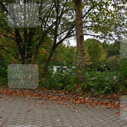 11.10.2026 - Bramfelder Halbmarathon 2026 J. Mangold http://msf.ph/oto/10827752 11.10.2026 10:43:18 Laufen 147, 335, 336 meine-sportfotos.de