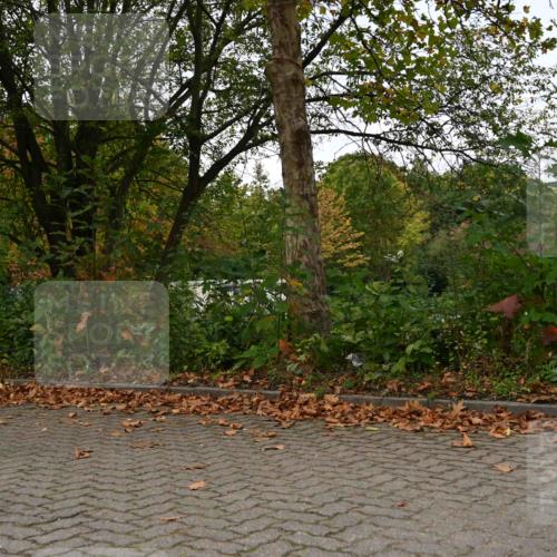 11.10.2026 - Bramfelder Halbmarathon 2026 J. Mangold http://msf.ph/oto/10827775 11.10.2026 10:44:03 Laufen 33, 768, 812 meine-sportfotos.de