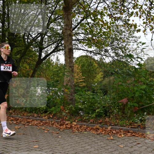 11.10.2026 - Bramfelder Halbmarathon 2026 J. Mangold http://msf.ph/oto/10827801 11.10.2026 10:44:16 Laufen 274, 708, 709 meine-sportfotos.de