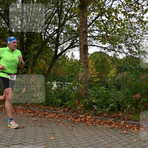 11.10.2026 - Bramfelder Halbmarathon 2026 J. Mangold http://msf.ph/oto/10827824 11.10.2026 10:44:23 Laufen 262, 296 meine-sportfotos.de