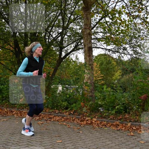 11.10.2026 - Bramfelder Halbmarathon 2026 J. Mangold http://msf.ph/oto/10827851 11.10.2026 10:44:39 Laufen 353, 576 meine-sportfotos.de