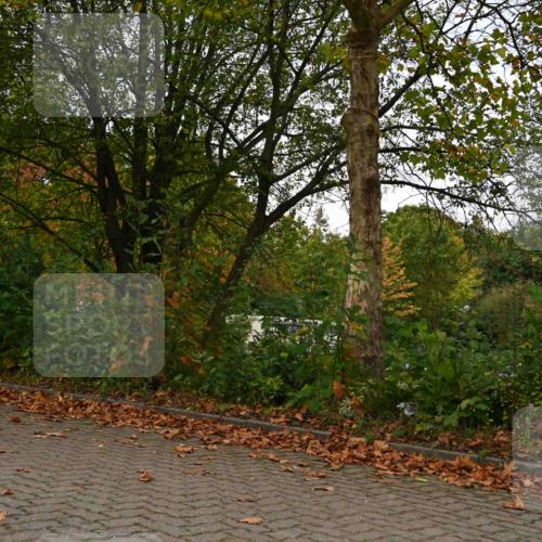11.10.2026 - Bramfelder Halbmarathon 2026 J. Mangold http://msf.ph/oto/10827868 11.10.2026 10:44:51 Laufen 272, 732, 781 meine-sportfotos.de