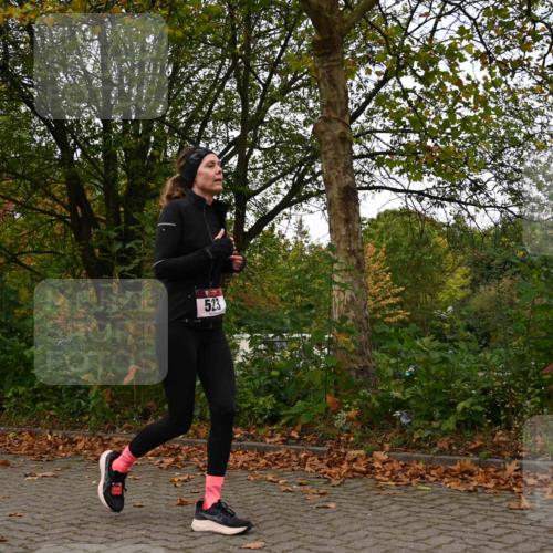 11.10.2026 - Bramfelder Halbmarathon 2026 J. Mangold http://msf.ph/oto/10827898 11.10.2026 10:44:58 Laufen 272, 523, 732, 781 meine-sportfotos.de