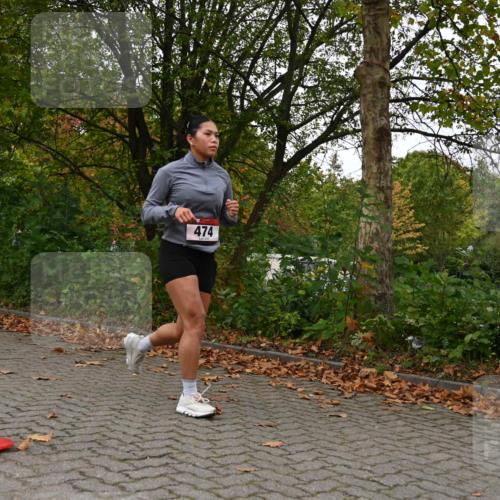 11.10.2026 - Bramfelder Halbmarathon 2026 J. Mangold http://msf.ph/oto/10827915 11.10.2026 10:45:20 Laufen 54, 474 meine-sportfotos.de