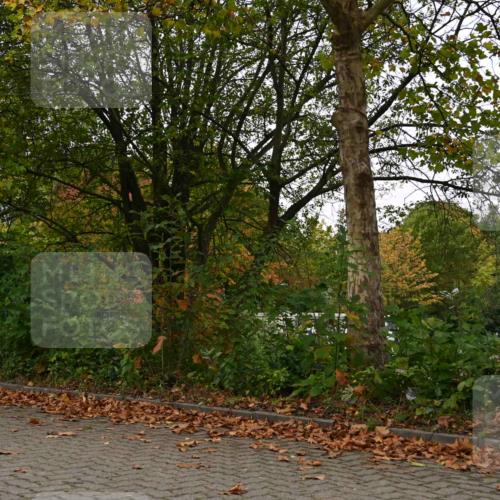 11.10.2026 - Bramfelder Halbmarathon 2026 J. Mangold http://msf.ph/oto/10827938 11.10.2026 10:45:37 Laufen 240, 260, 704, 814, 815 meine-sportfotos.de