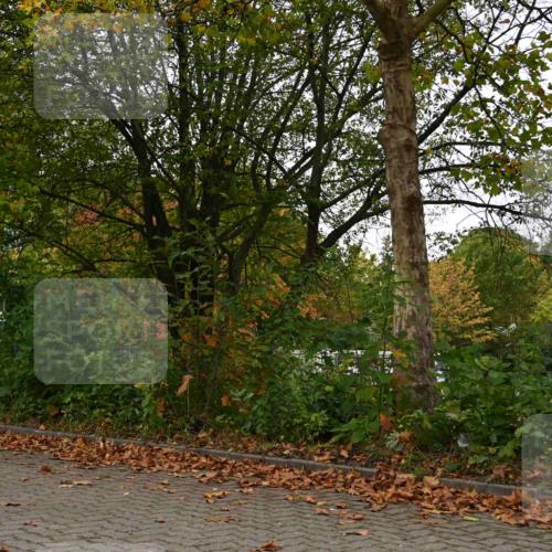 11.10.2026 - Bramfelder Halbmarathon 2026 J. Mangold http://msf.ph/oto/10827940 11.10.2026 10:45:38 Laufen 240, 260, 704, 814, 815 meine-sportfotos.de