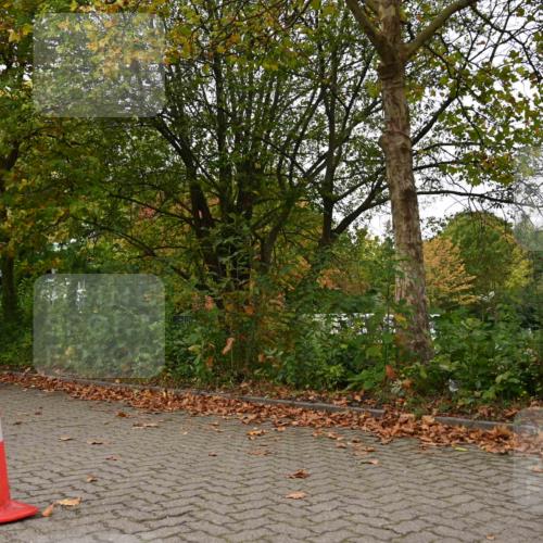 11.10.2026 - Bramfelder Halbmarathon 2026 J. Mangold http://msf.ph/oto/10827966 11.10.2026 10:45:42 Laufen 240, 260, 601, 602, 704, 814, 815 meine-sportfotos.de