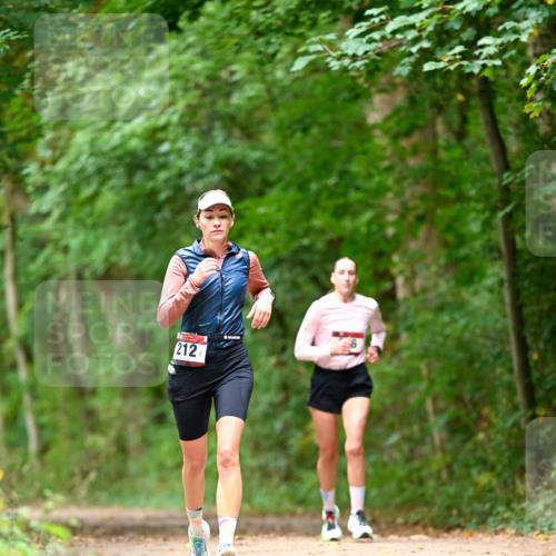 11.10.2026 - Bramfelder Halbmarathon 2026 Dr. Thomas Lammeyer http://msf.ph/oto/10827972 11.10.2026 11:04:47 Laufen 212 meine-sportfotos.de