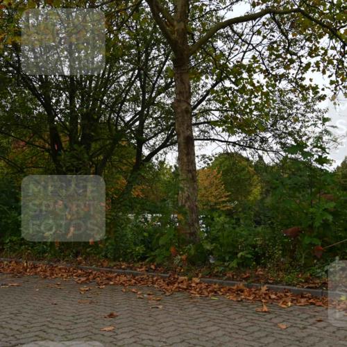 11.10.2026 - Bramfelder Halbmarathon 2026 J. Mangold http://msf.ph/oto/10827987 11.10.2026 10:45:55 Laufen 88, 730, 760 meine-sportfotos.de