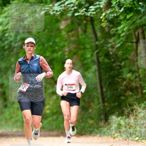 11.10.2026 - Bramfelder Halbmarathon 2026 Dr. Thomas Lammeyer http://msf.ph/oto/10827992 11.10.2026 11:04:48 Laufen 212, 346 meine-sportfotos.de