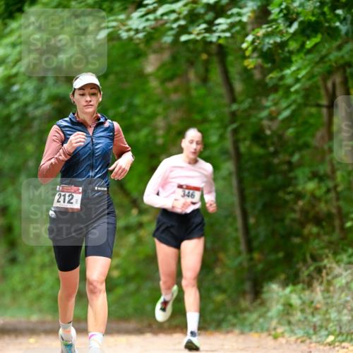 11.10.2026 - Bramfelder Halbmarathon 2026 Dr. Thomas Lammeyer http://msf.ph/oto/10827996 11.10.2026 11:04:49 Laufen 212, 346 meine-sportfotos.de