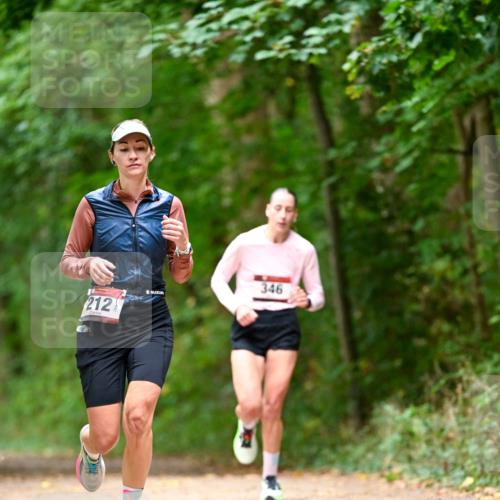 11.10.2026 - Bramfelder Halbmarathon 2026 Dr. Thomas Lammeyer http://msf.ph/oto/10827997 11.10.2026 11:04:49 Laufen 212, 346 meine-sportfotos.de