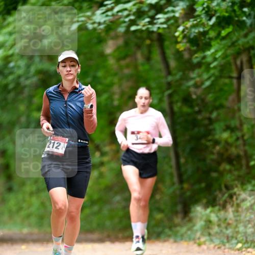 11.10.2026 - Bramfelder Halbmarathon 2026 Dr. Thomas Lammeyer http://msf.ph/oto/10827999 11.10.2026 11:04:49 Laufen 212 meine-sportfotos.de