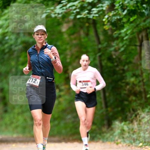 11.10.2026 - Bramfelder Halbmarathon 2026 Dr. Thomas Lammeyer http://msf.ph/oto/10828001 11.10.2026 11:04:49 Laufen 212, 346 meine-sportfotos.de