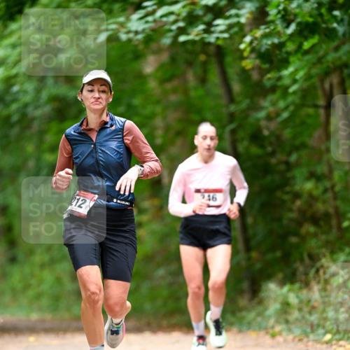 11.10.2026 - Bramfelder Halbmarathon 2026 Dr. Thomas Lammeyer http://msf.ph/oto/10828003 11.10.2026 11:04:49 Laufen 212, 46 meine-sportfotos.de