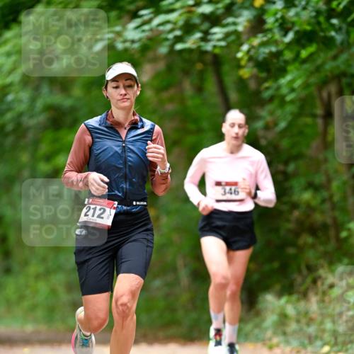 11.10.2026 - Bramfelder Halbmarathon 2026 Dr. Thomas Lammeyer http://msf.ph/oto/10828008 11.10.2026 11:04:50 Laufen 212, 346 meine-sportfotos.de