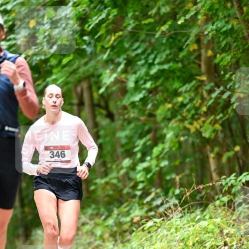 11.10.2026 - Bramfelder Halbmarathon 2026 Dr. Thomas Lammeyer http://msf.ph/oto/10828019 11.10.2026 11:04:51 Laufen  meine-sportfotos.de