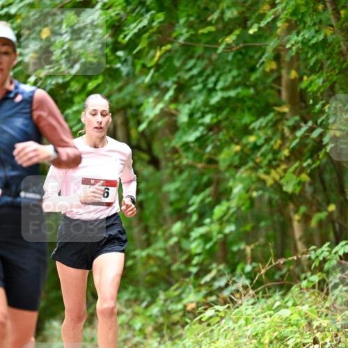 11.10.2026 - Bramfelder Halbmarathon 2026 Dr. Thomas Lammeyer http://msf.ph/oto/10828022 11.10.2026 11:04:51 Laufen 6 meine-sportfotos.de