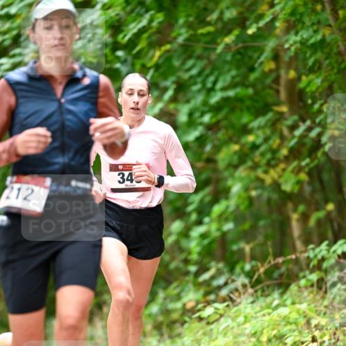 11.10.2026 - Bramfelder Halbmarathon 2026 Dr. Thomas Lammeyer http://msf.ph/oto/10828028 11.10.2026 11:04:51 Laufen 212, 34 meine-sportfotos.de