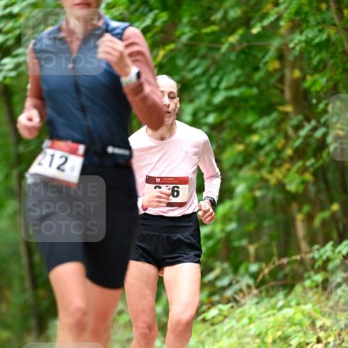 11.10.2026 - Bramfelder Halbmarathon 2026 Dr. Thomas Lammeyer http://msf.ph/oto/10828031 11.10.2026 11:04:51 Laufen 212, 35, 6 meine-sportfotos.de