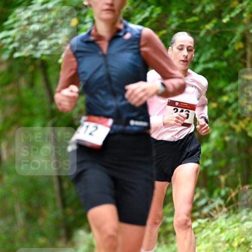 11.10.2026 - Bramfelder Halbmarathon 2026 Dr. Thomas Lammeyer http://msf.ph/oto/10828033 11.10.2026 11:04:52 Laufen 12 meine-sportfotos.de